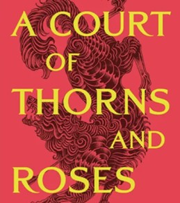 Cover picture for the book A Court of Thorns and Roses.